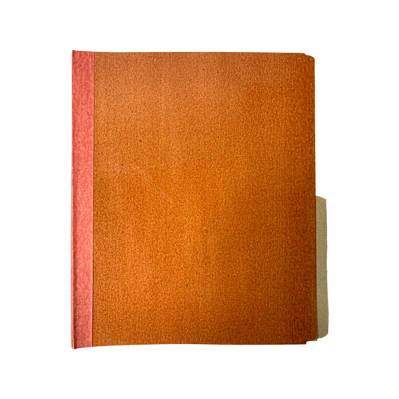 CARPETA PLASTIFICADA CARTA X25