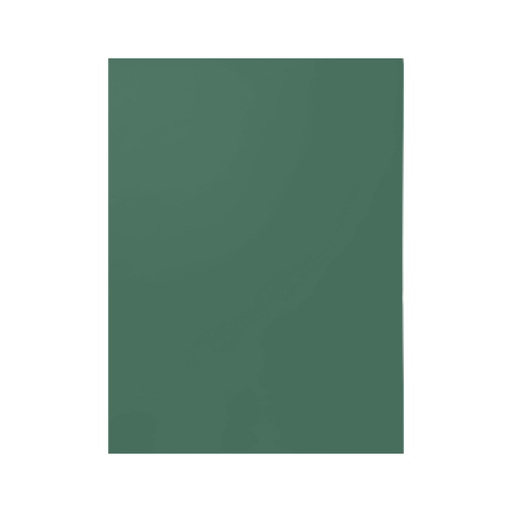 [2453.2] CARTULINA COLLEGE VERDE BOSQUE 