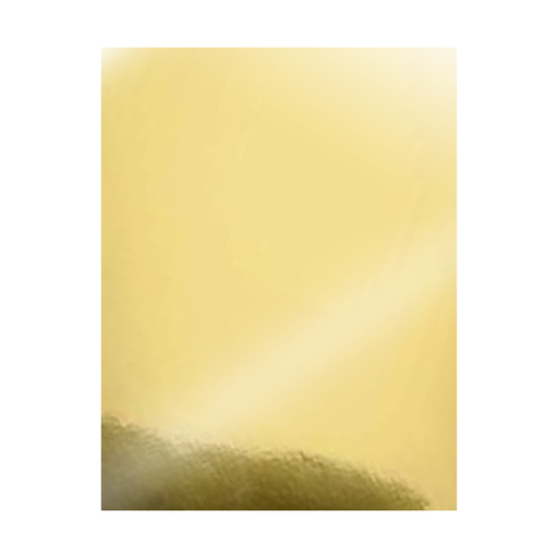 [14.7452.10] CARTULINA DOBLE FAZ METALIZADA ESPEJO ORO