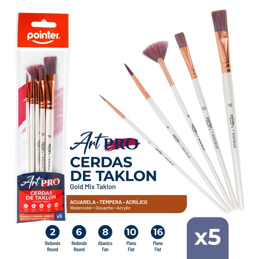 [AB-2371] SET DE PINCELES x 5