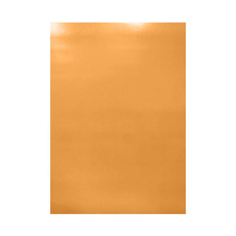 CARTULINA DOBLE FAZ PIEL CATIRE 273GR-50X70CM