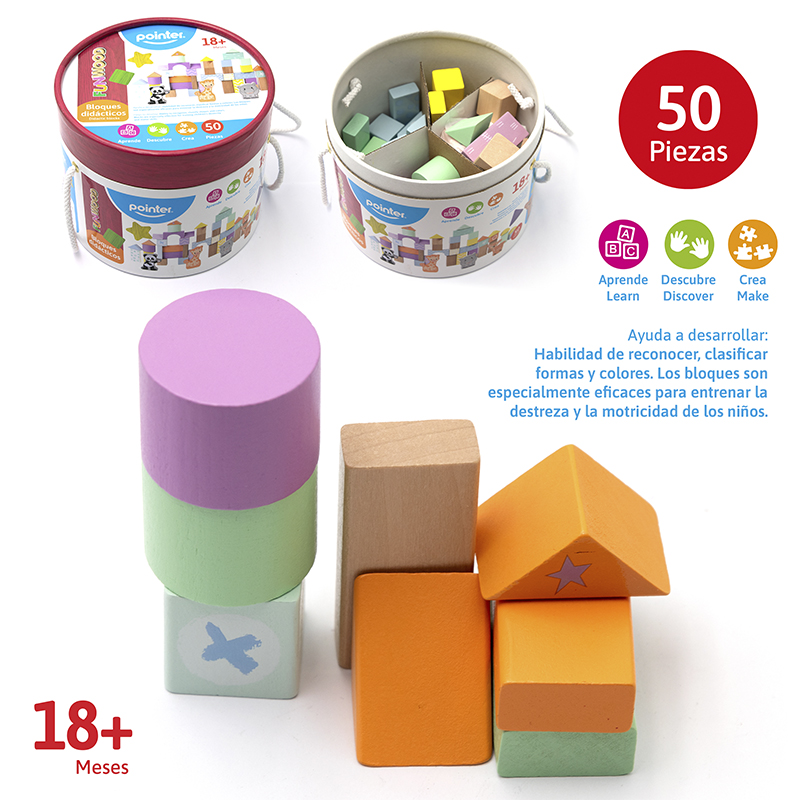 BLOQUES DIDACTICOS X50 PZAS