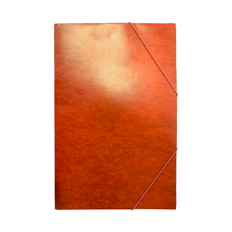 CARPETA CON LIGAS