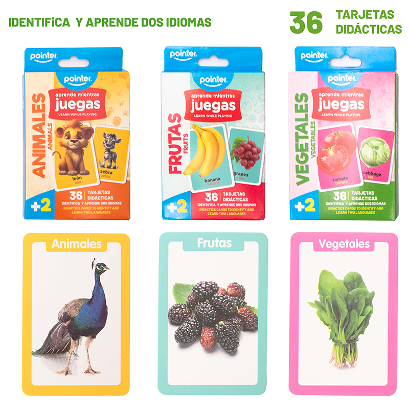 CARTAS EDUCATIVAS
