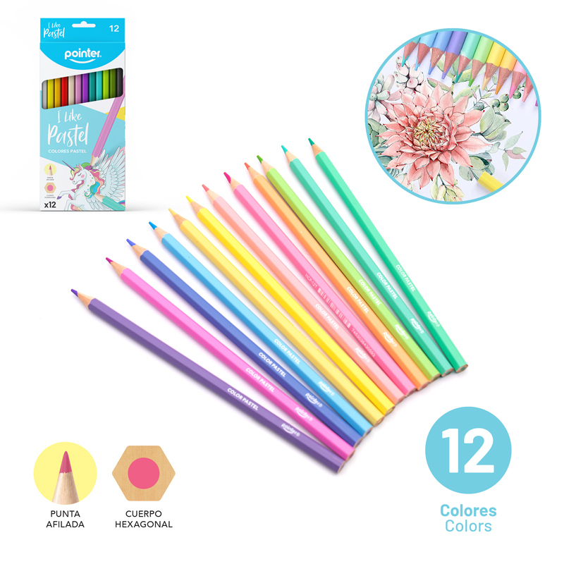 COLORES POINTER PASTEL X12