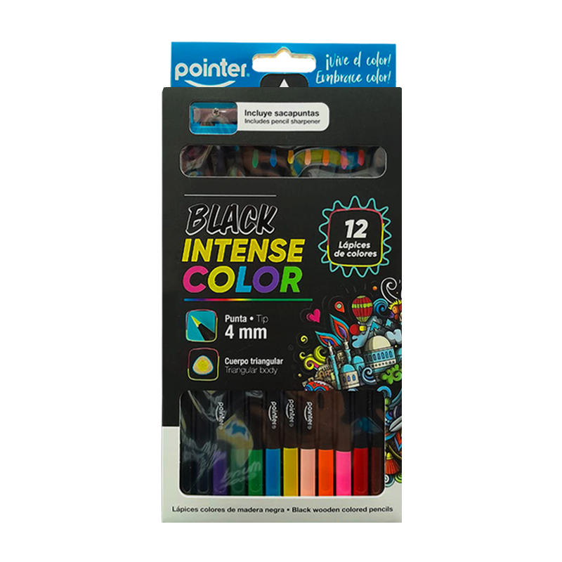 LAPICES DE COLORES x 12 (4.0 MM)