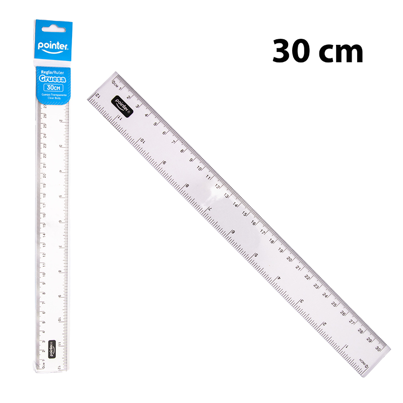 REGLA 30cm