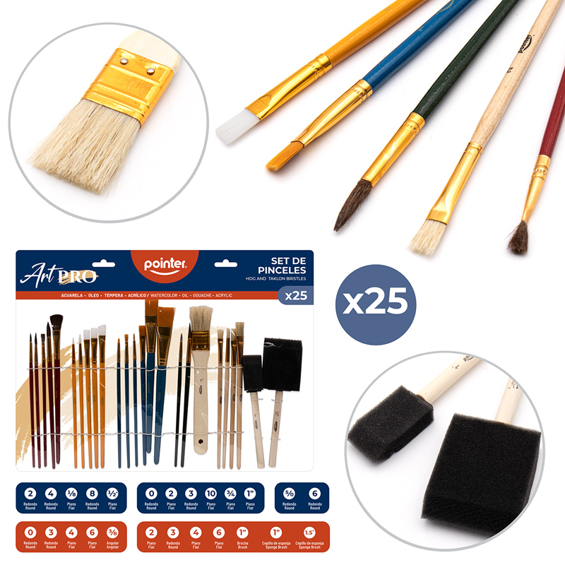 SET DE PINCELES 