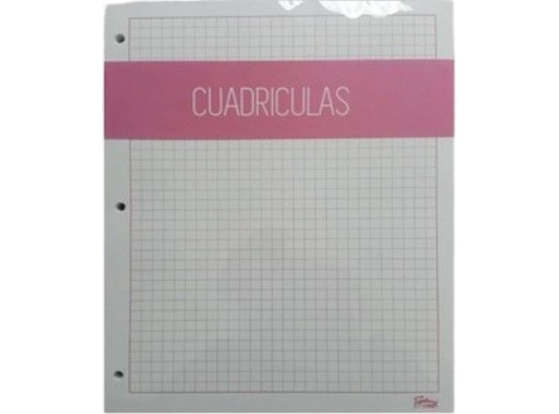 HOJA PONCHADA CUADRICULADA
