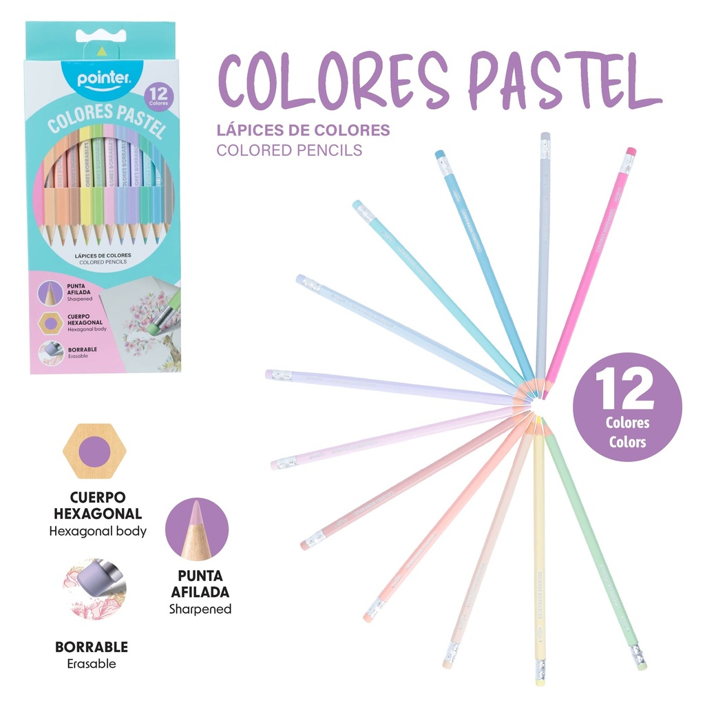 LAPICES DE COLORES BORRABLES x12PZS - PASTEL CUERPO HEXAGONAL
