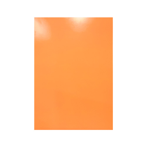 [12.68.190] CARTULINA DOBLE FAZ BITONO PIEL CATIRE 206GR-50X70CM