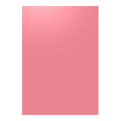 [31.2.6090] FOAMY LISO GUAYABA SALMON - GRANDE 60x90CM