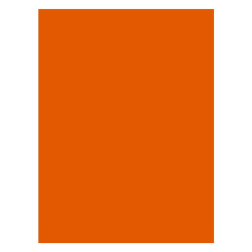 [37.2.3044] FOAMY LISO NARANJA ZAPOTE - DOBLECARTA 30x40CM
