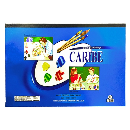 [N066196D] BLOCK DE DIBUJO ENCOLADO GRANDE - 48x32,5CM