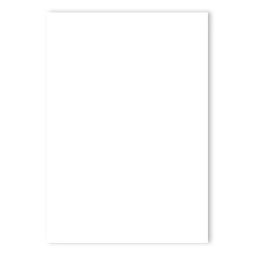 [46050.160] CARTULINA BRISTOL BLANCO OPALINA 160GR 48x66CM
