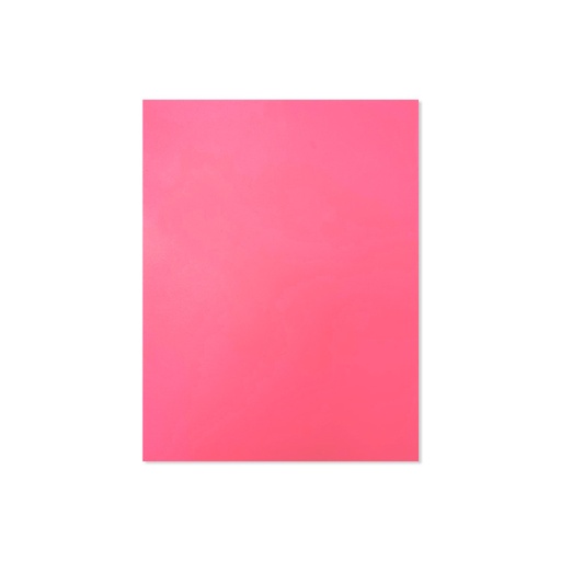[41205.51] CARTULINA CARTA ROSA 220GR