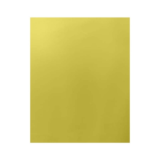 [210.10.303] CARTULINA PERLADA ORO RICO 210GR 50x70CM 