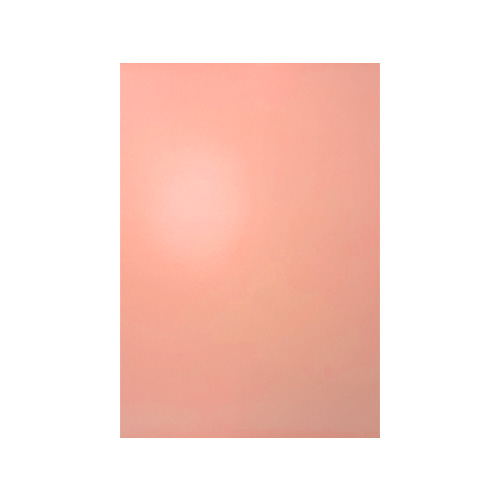 [14184331] CARTULINA DOBLE FAZ BICOLOR ROSADO PASTEL