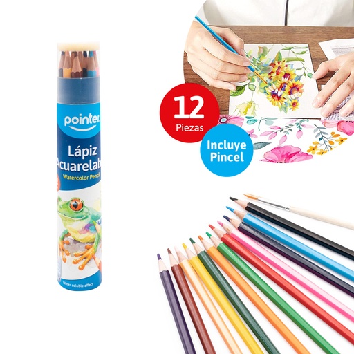 [WCP-12] COLORES POINTER ACUARELABLES X12