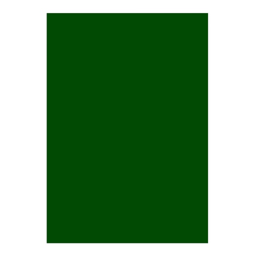 [20.2.690] FOAMI LISO VERDE NAVIDAD GRANDE (60X80CM)