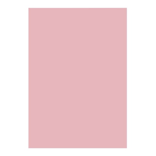 [45.2.2230] FOAMI LISO ROSADO COLONIAL CARTA (20X30CM)