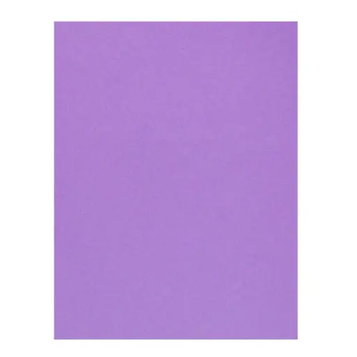 [102-1090/565] FOAMY LISO LILA GRANDE - 60x80CM