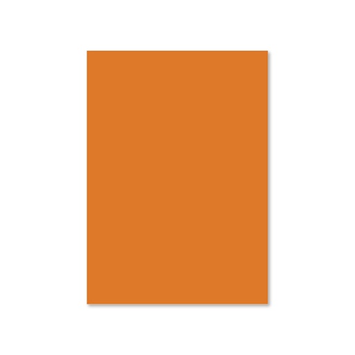[102-1090/210] FOAMY LISO NARANJA GRANDE - 60x80CM