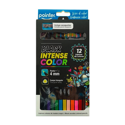[TCPS-12-NG] LAPICES DE COLORES x 12 (4.0 MM)