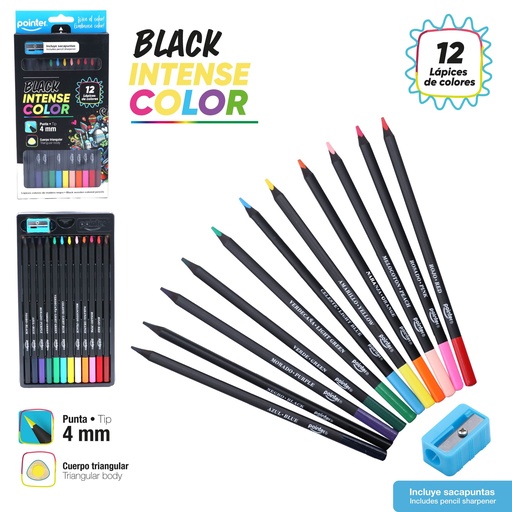 [TCPS-12-NG] LAPICES DE COLORES x 12 (4.0 MM)
