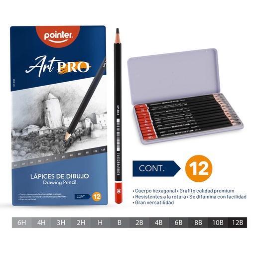 [DP-12ST] SET DE LAPICES DE DIBUJO ART PRO x12PZAS