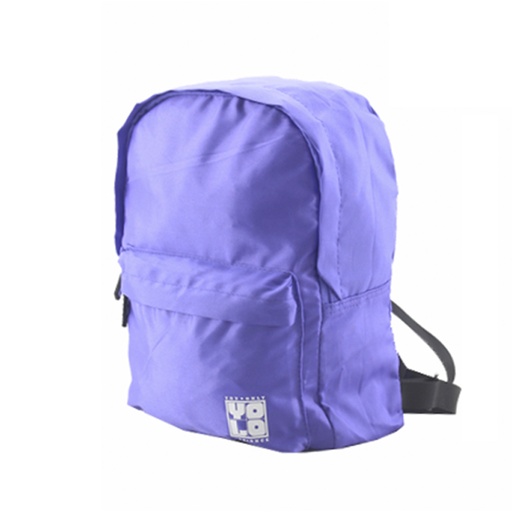 [42-34730] BOLSO 