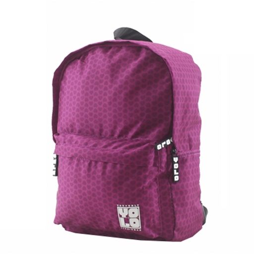 [42-34732] BOLSO 