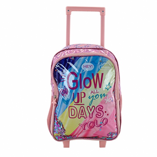 [90-53301] BOLSO 