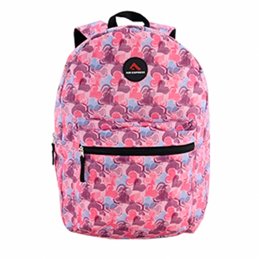 [42-53172] BOLSO 