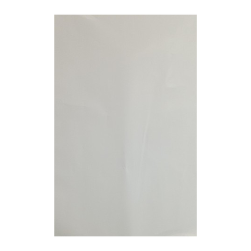 [PPGLASS] PAPEL GLASE 115G - 66x96Cm