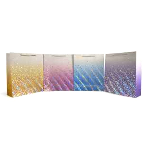 [786-8891419] BOLSA DE REGALO TODO OCASION MEDIUM