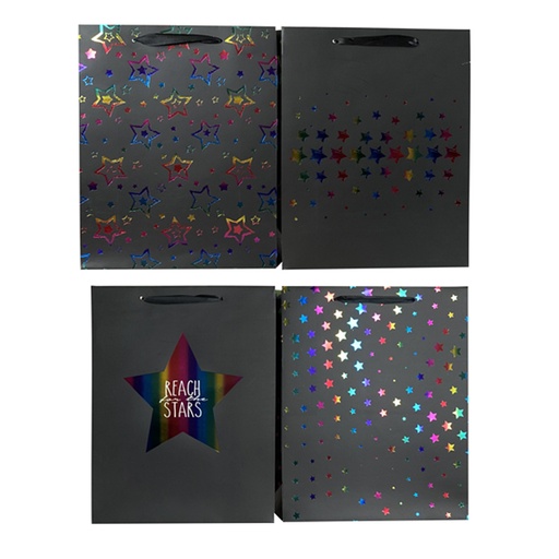 [786-6450835] BOLSA DE REGALO EVERYDAY X12