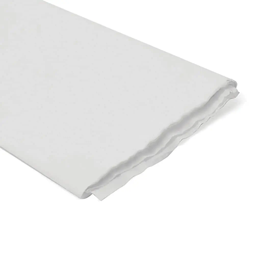 [80.20.10] PAPEL CREPE - BLANCO NIEVE 50x200CM